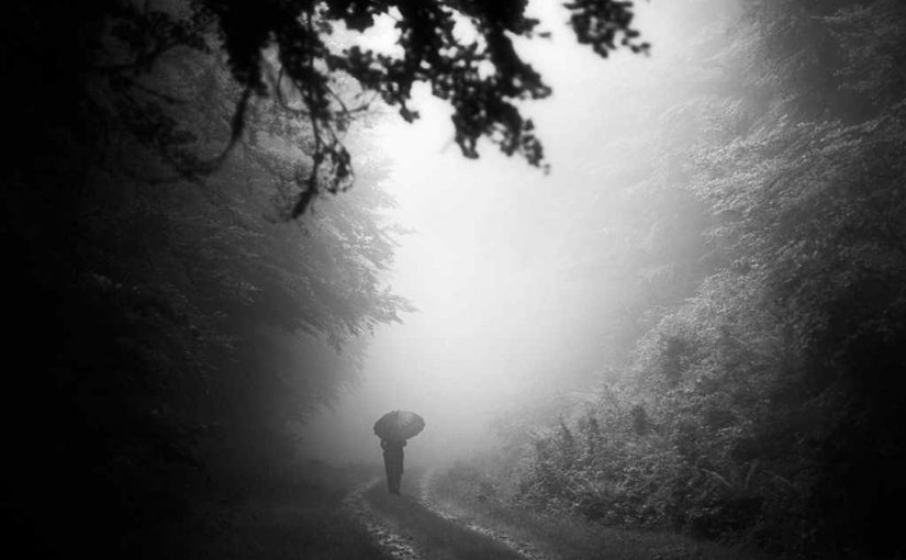 ¡Record de alumnos en los Cursos de Iniciación a la Fotografía!