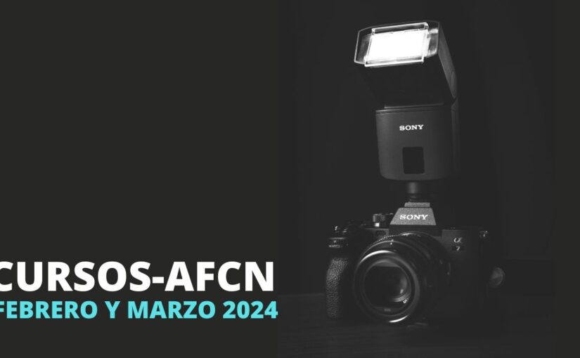 Cursos de fotografía en Pamplona Febrero-Marzo 2024: fotografía con móvil y mucho más